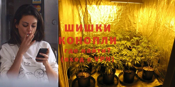мескалин Арсеньев