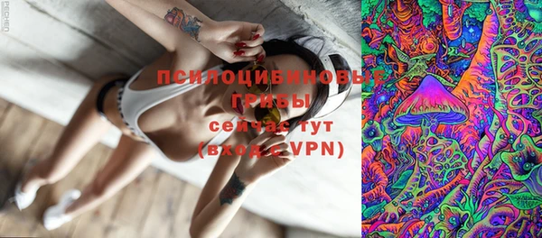 спиды Аркадак
