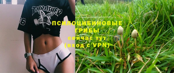 круглые Армянск