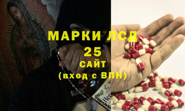 спиды Аркадак