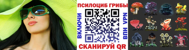 MEGA зеркало  Ахтырский  Псилоцибиновые грибы Cubensis 